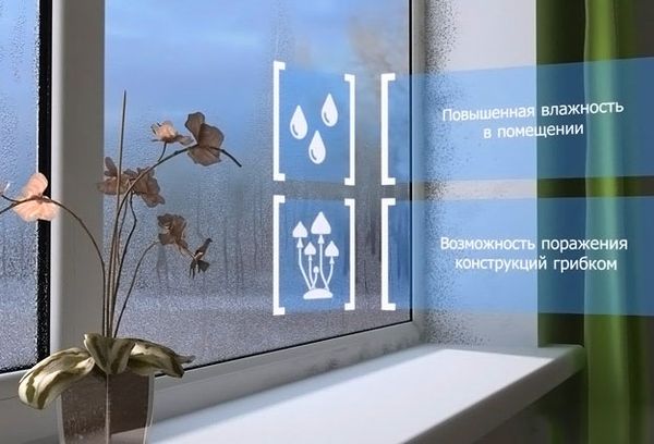 Мелкие жучки в квартире