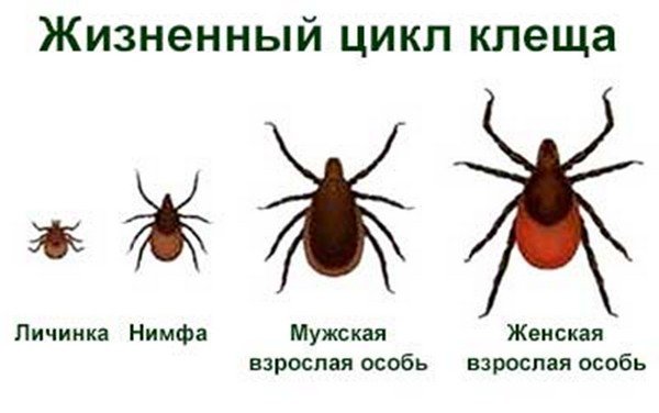 М М